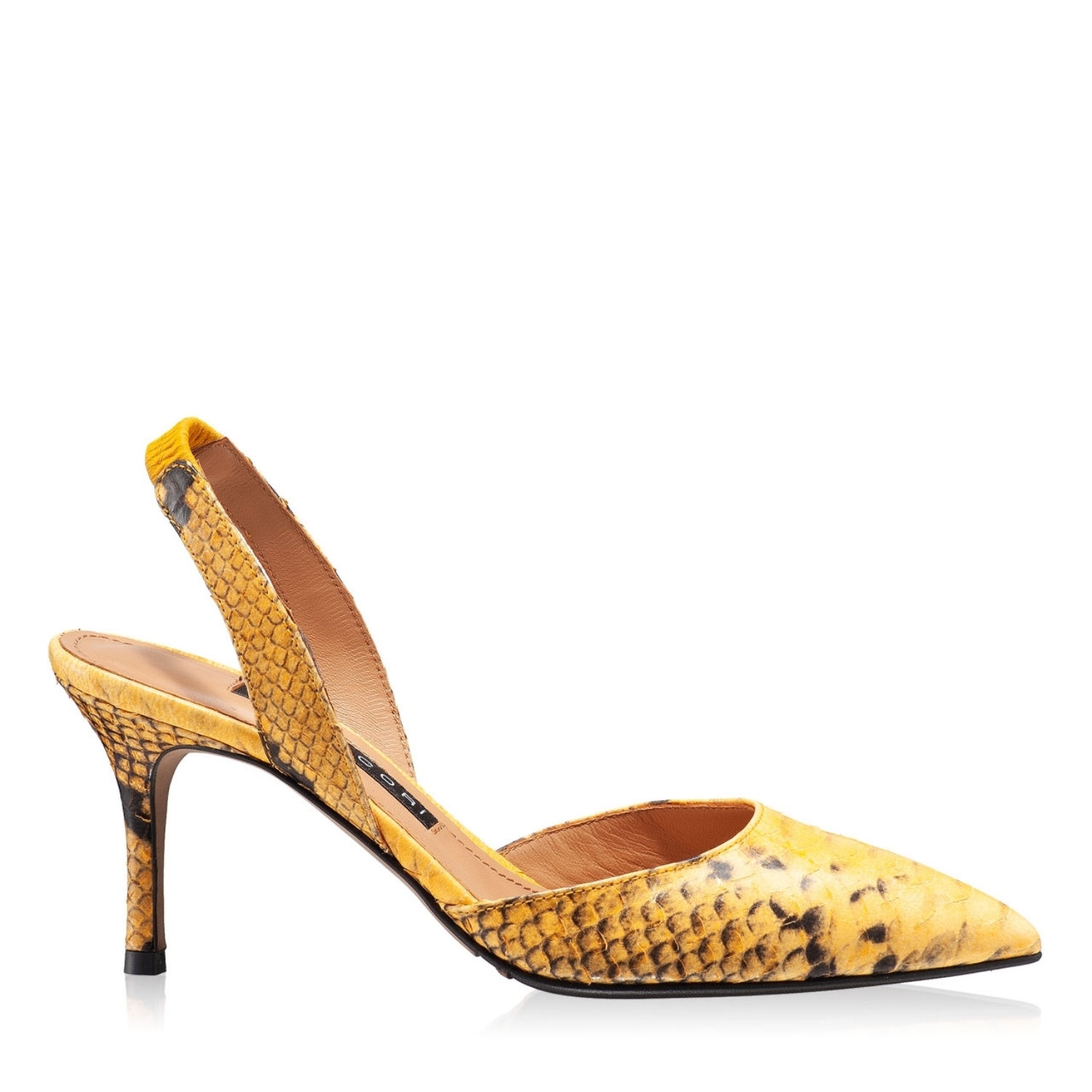 Picture of 5726 Pytone Giallo