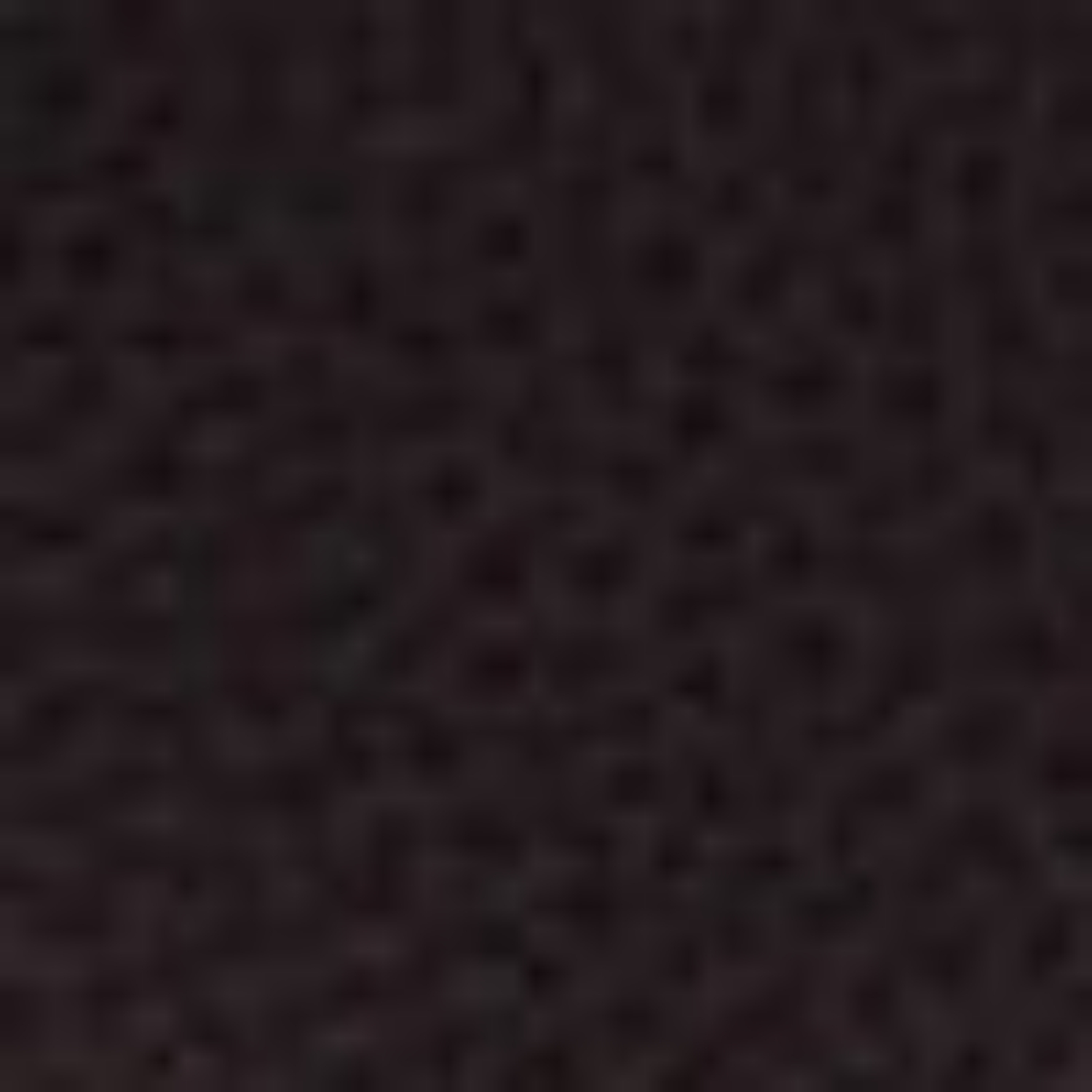 Imagine DOMINIC BOTT NEGRU