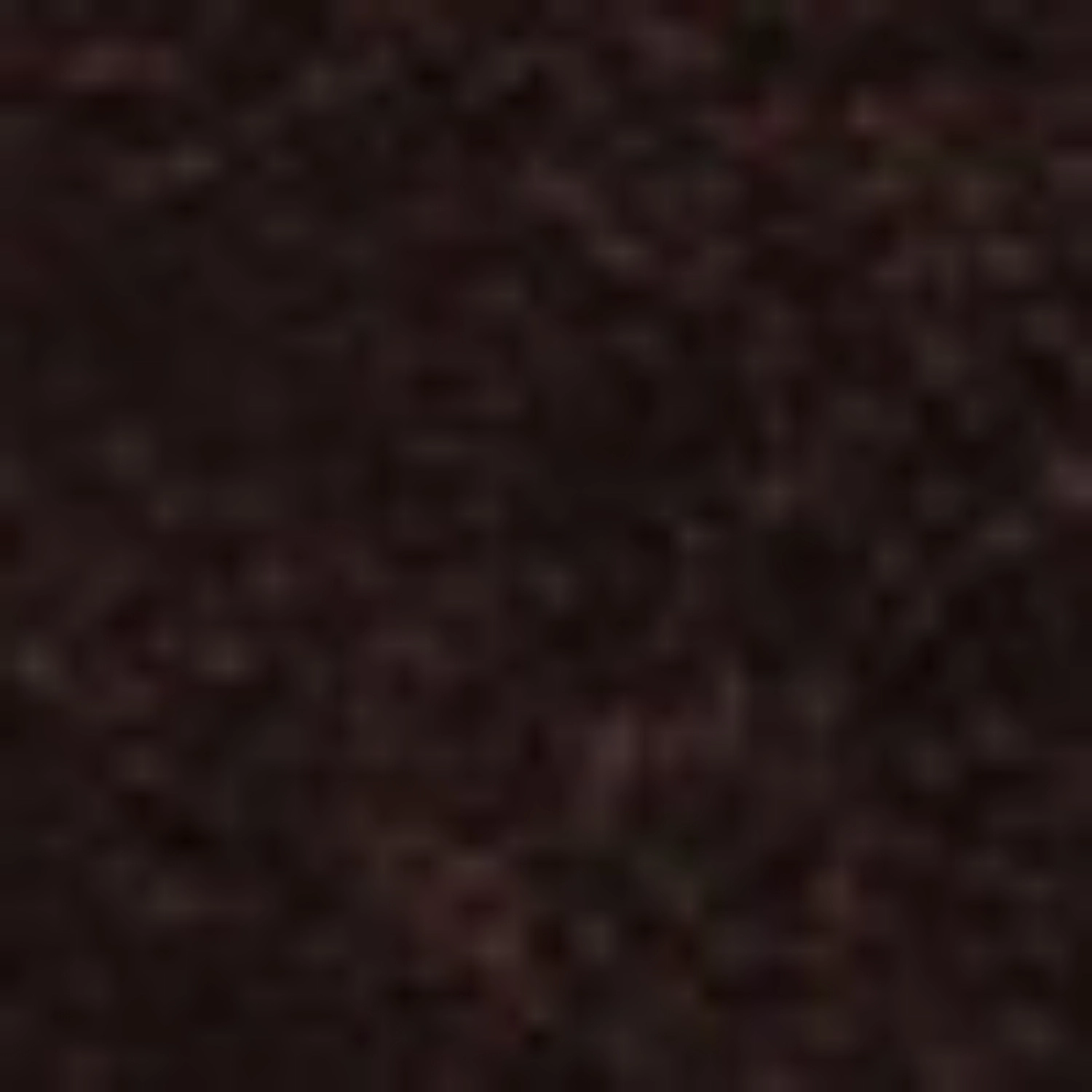 Imagine Pantofi Casual Barbati 7353 Crosta Maro