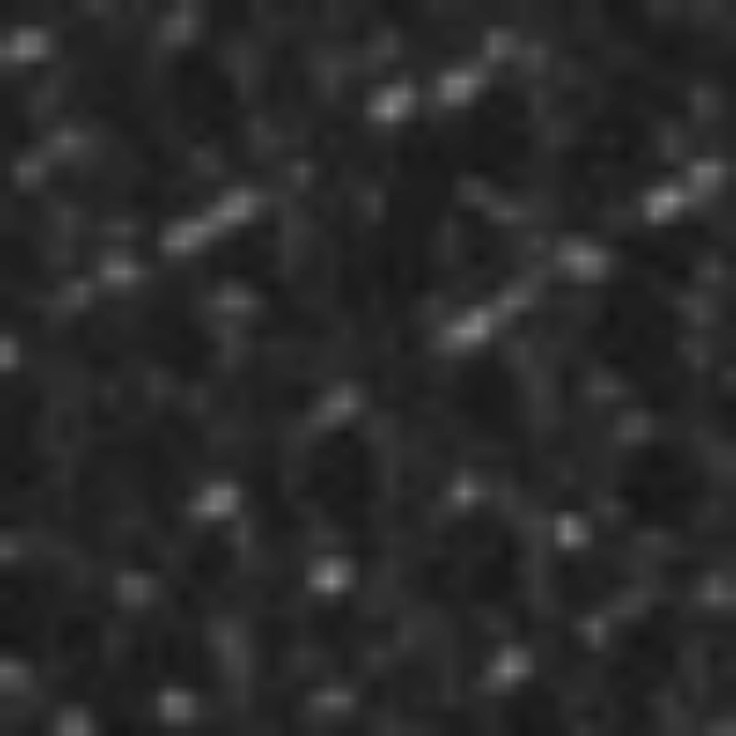 Picture of 76 women's belt Bottalato+Vitello Black