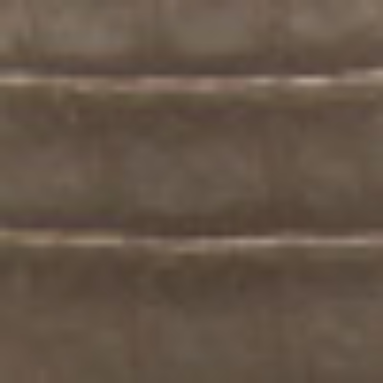 Imagine Geanta dama de umar ANEMONA BOTTALATO TAUPE