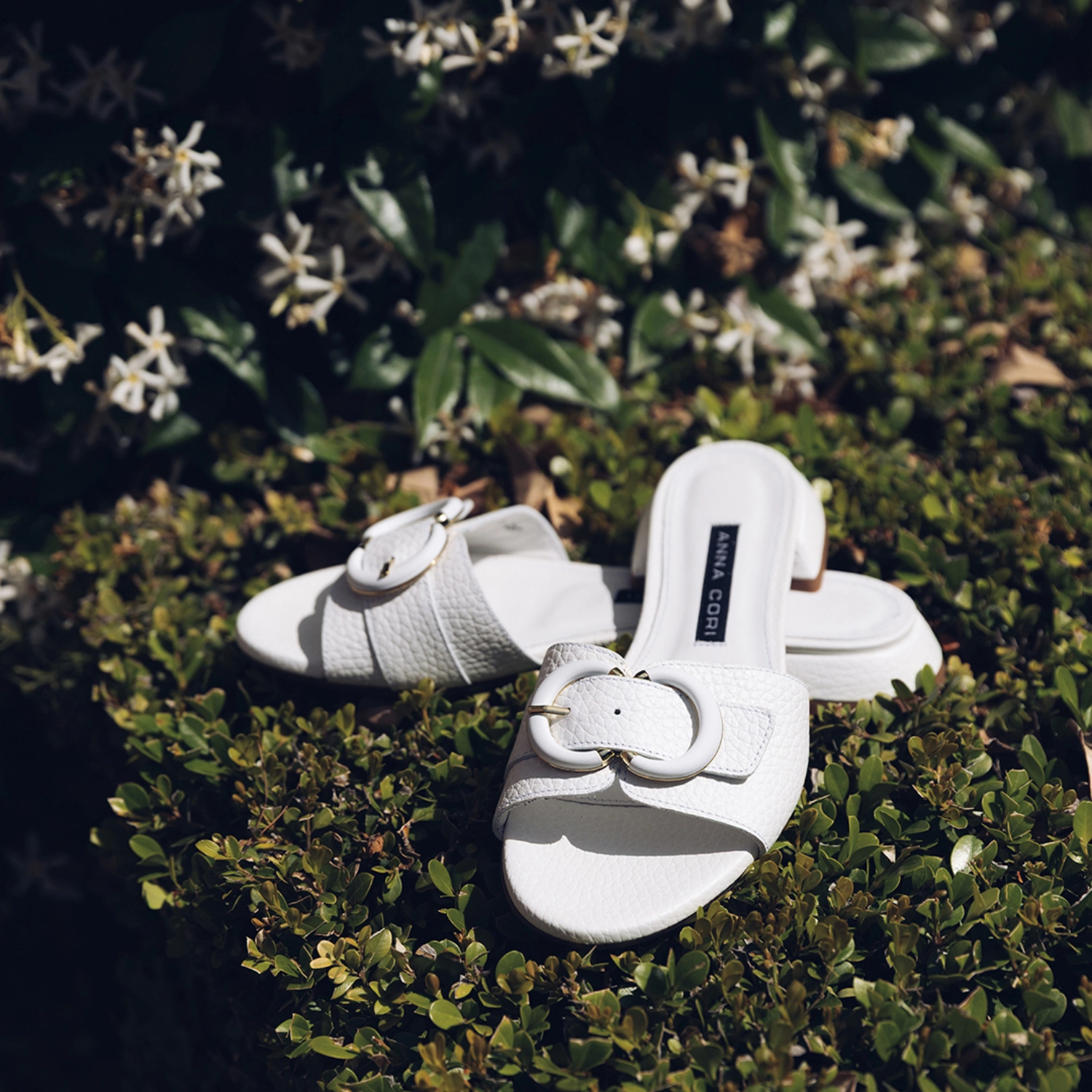 Picture of Women's Clogs 8325 Bottalato White
